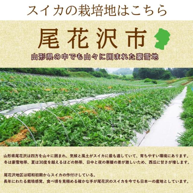 尾花沢すいか
