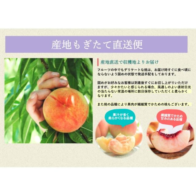 白桃