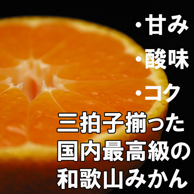 和歌山みかん