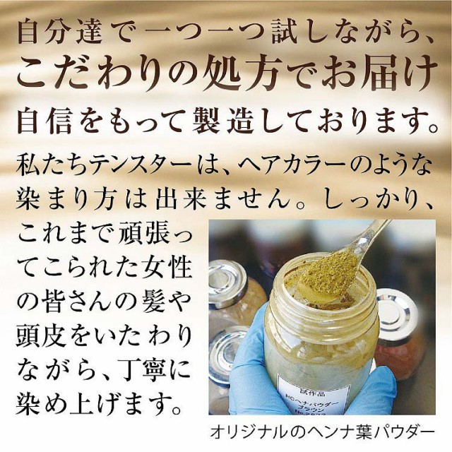 テンスター ヘナ カラートリートメント アッシュダークブラウン(250g