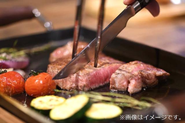 オークス 大人の鉄板 ステーキナイフ＆ミートフォーク OTS8107(1セット