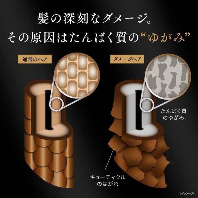 ラックス バイオフュージョン ダメージディフェンス ポンプペア+