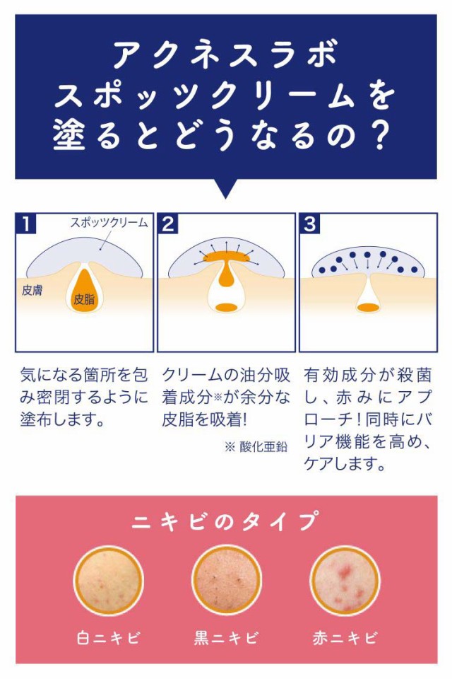 アクネスラボ 薬用 スポッツクリーム 夜用ポイントパッチ(集中ケア