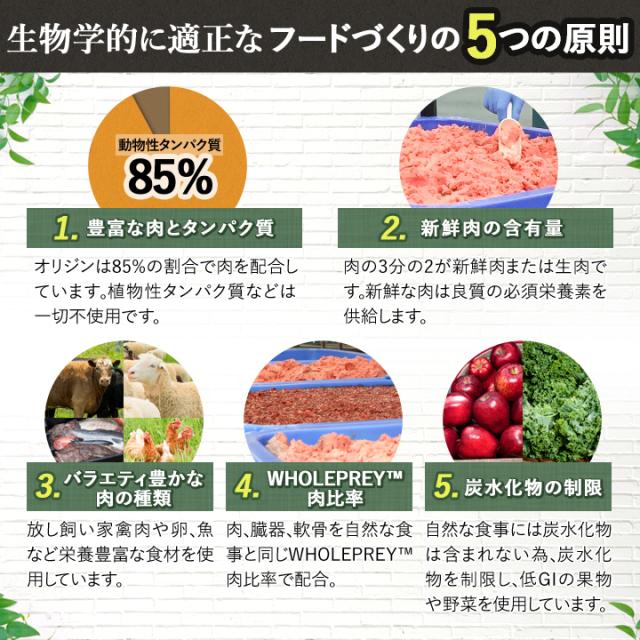 55 以上節約 オリジン フィット トリム 11 3kg 2袋セット ドッグフード ドライフード 新しい到着 Www Fresnocommunitybasedadultservices Com