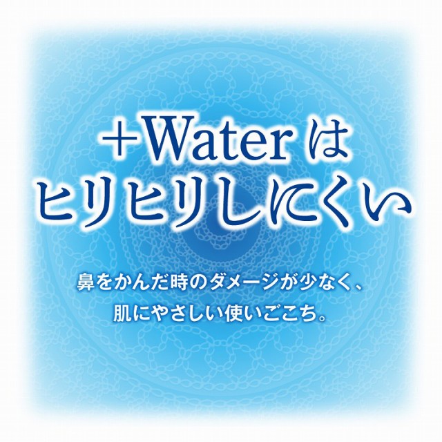 ティッシュペーパー 120組 エリエール  Water ソフトパックティッシュー 1セット（5個入×5パック）大王製紙