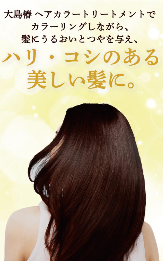 大島椿 ヘアカラートリートメント ダークブラウン(180g*2コセット