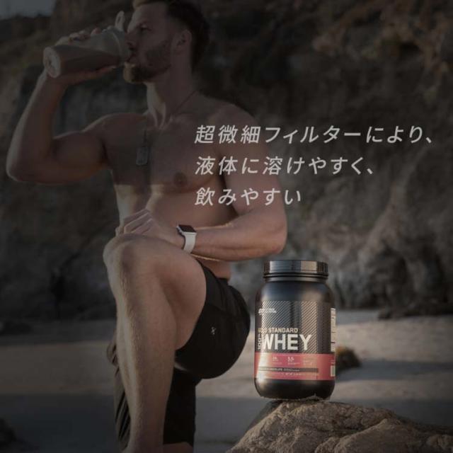 国内正規品 ゴールドスタンダード100% ホエイ モカカプチーノ 国内正規品 ゴールドスタンダード100% ホエイ モカカプチーノ