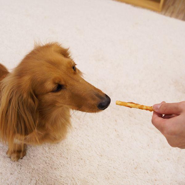 公式通販 ドギーマン ドギースナックバリュー ササミディップガム 6本入 80コセット 犬のおやつ サプリメント お気にいる Diquinsa Com Mx