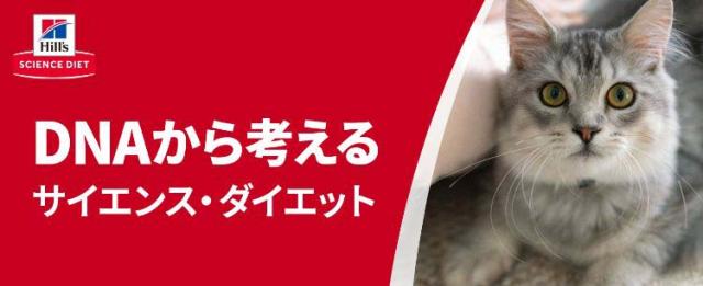 大人気 サイエンス ダイエット 室内猫の毛玉 体重ケア シニア 高齢猫用 7歳以上 チキン 2 8kg 2袋セット キャットフード ドライフード 全品送料無料 Diquinsa Com Mx