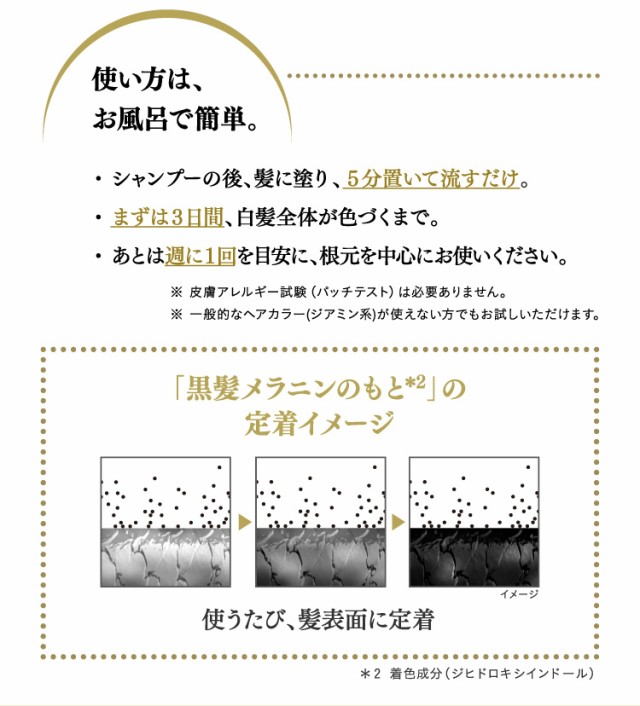 初回特典付 リライズ 白髪用髪色サーバー リ ブラック ふんわり仕上げ つけかえ専用 190g 2個セット 白髪染め 女性用 残りわずか Farmerscentre Com Ng