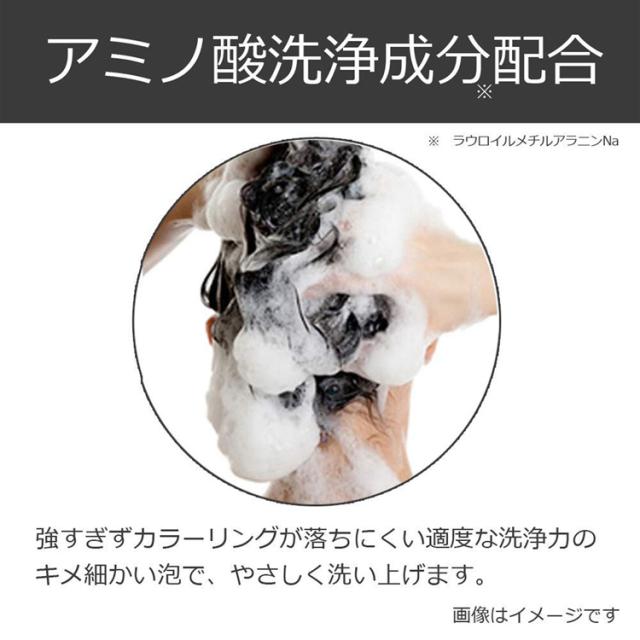 エブリ カラーシャンプー パープル・ワインレッド(300ml)[カラーケア