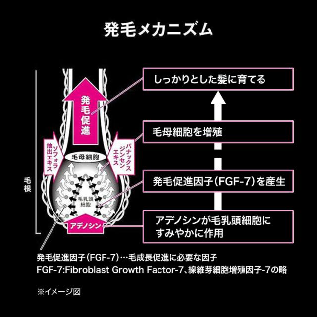 アデノゲン 薬用アデノゲンEX L 薬用 発毛促進 育毛剤 アデノシン配合