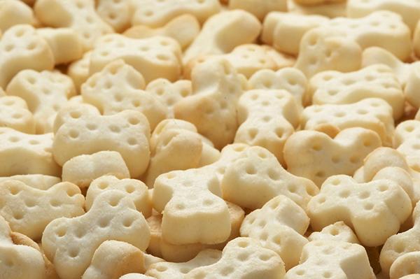 早者勝ち ドギースナック バリュー はちみつ入り骨型ミルクボーロ 80g 80袋セット 犬のおやつ サプリメント 別注 Www Iacymperu Org