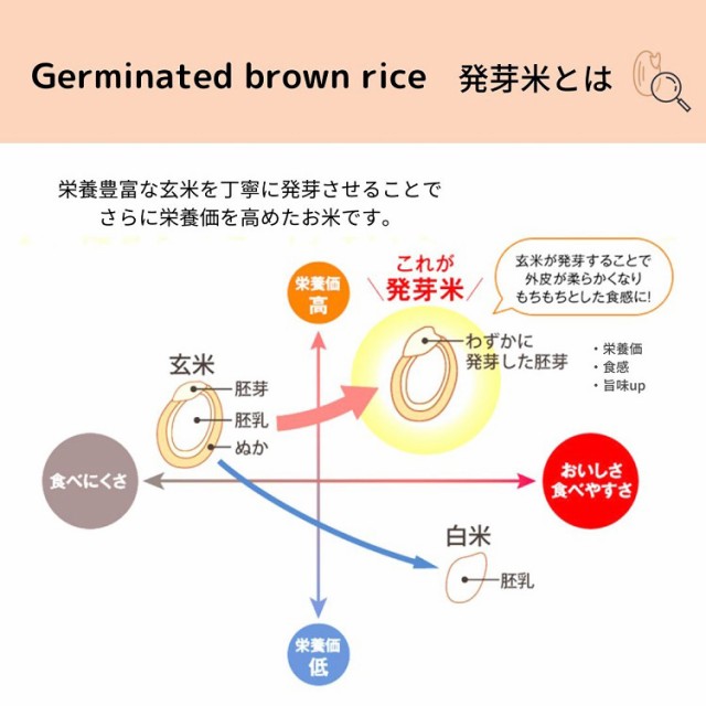 ファンケル 発芽米(1.5kg)[発芽玄米]の通販はau PAY マーケット - 爽快