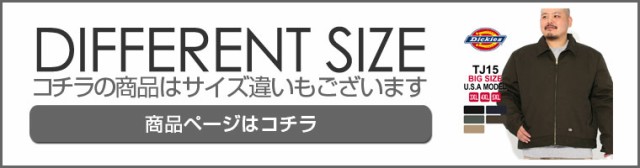 dickies-tj15-big