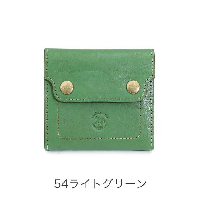 カラーバリエーション4