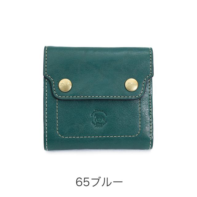 カラーバリエーション5