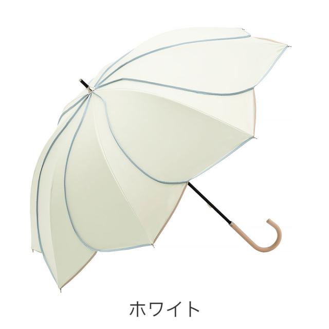 カラーバリエーション5