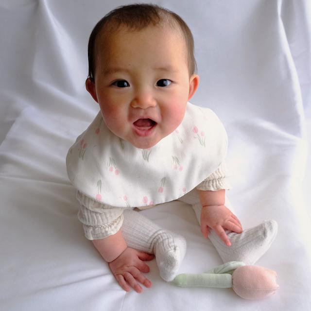 Lien de famille スタイとラトルのギフトセット