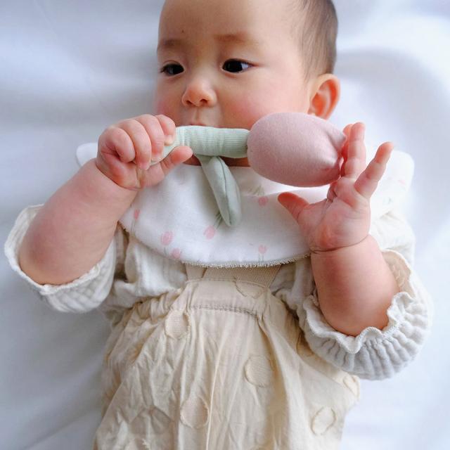 Lien de famille スタイとラトルのギフトセット