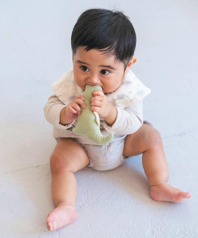 Lien de famille スタイとラトルのギフトセット