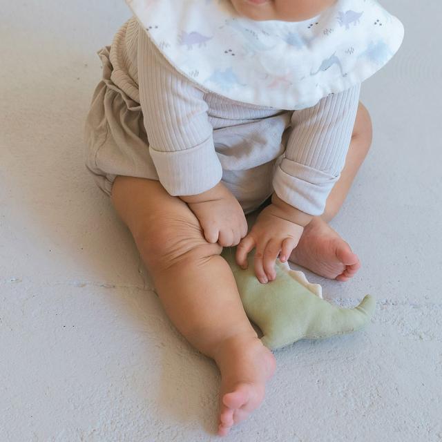 Lien de famille スタイとラトルのギフトセット