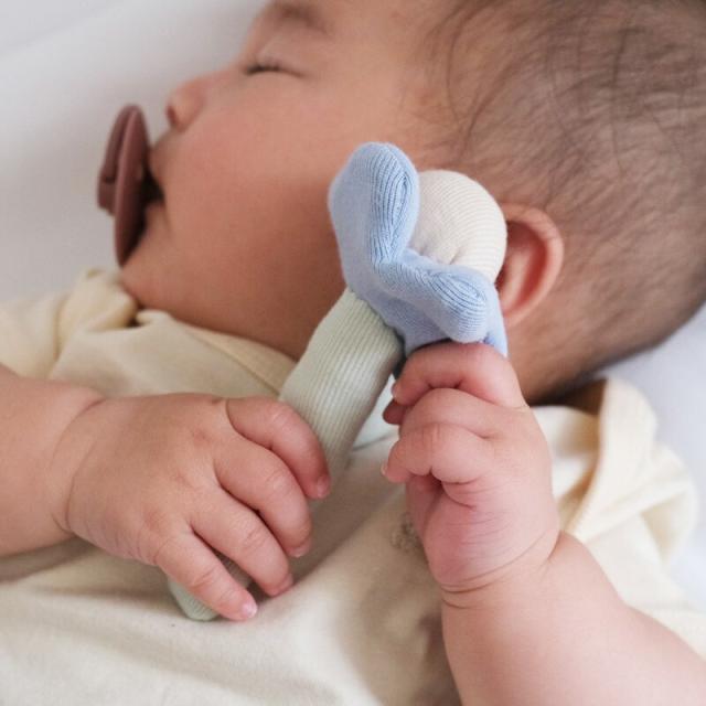 Lien de famille リヤンドファミーユ チューリップのラトル ガーベラのラトル