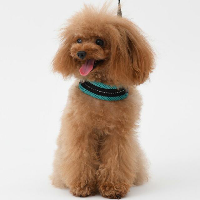 トレポンティ フィッビア アジャスタブル ソフトメッシュ パステル