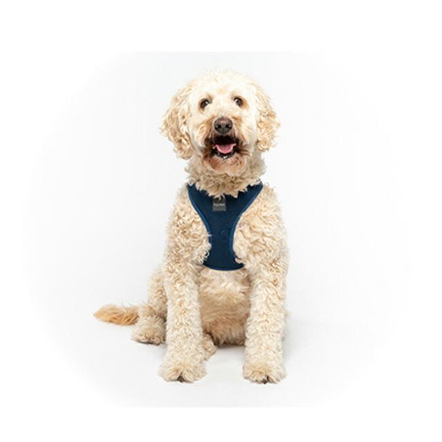 ファズヤード ステップインハーネス サイズ1