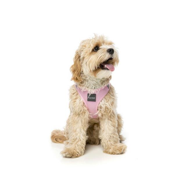 ファズヤード ステップインハーネス サイズ1