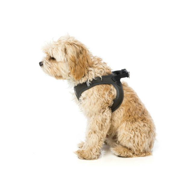 ファズヤード ステップインハーネス サイズ1