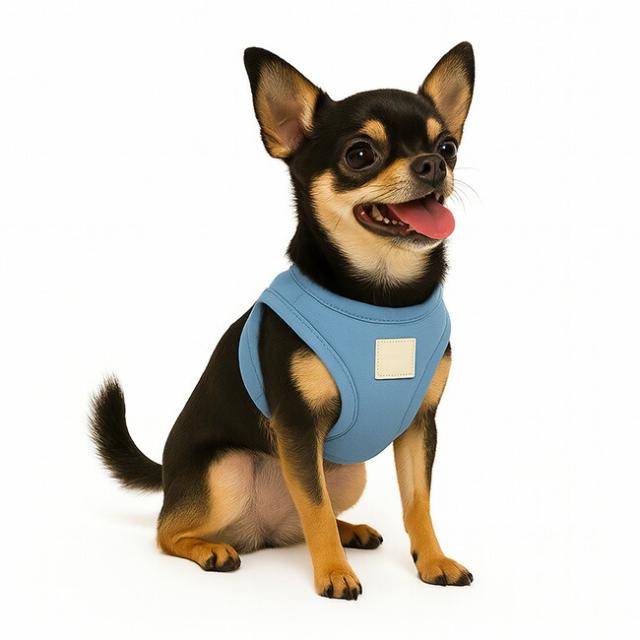 ファズヤード ステップインハーネス サイズ1