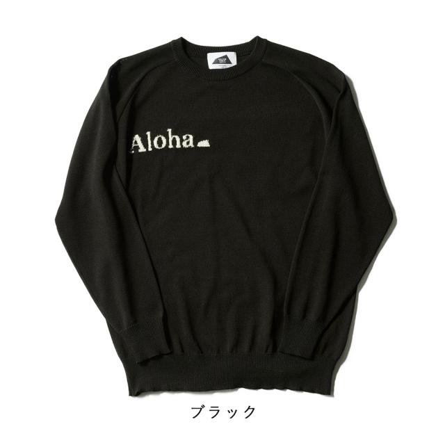 サルベージパブリックコレパ ジャカードクルーネック ニット svka4009