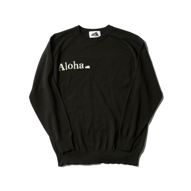 サルベージパブリックコレパ ジャカードクルーネック ニット svka4009