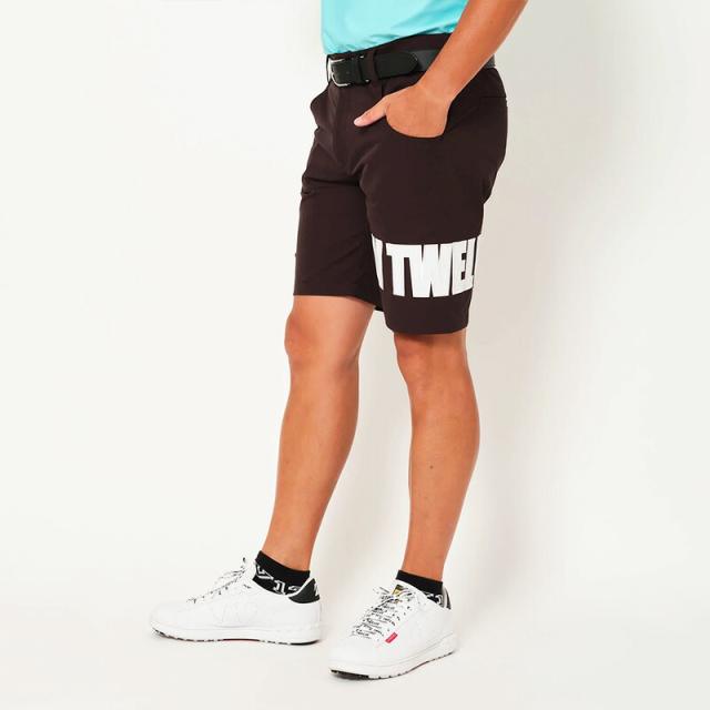 V12 DG POLO ゴルフ メンズ ポロシャツ 吸水速乾 V122310-PL19