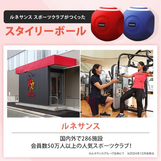 ルネサンス　スポーツクラブがつくったスタイリーボール ルネサンス スポーツクラブがつくったスタイリーボール 楽天市場