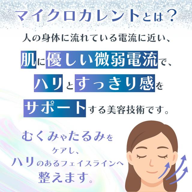 santasan Prona お風呂で使える 防水機能付き マイクロカレント 美顔ローラー 商品画像