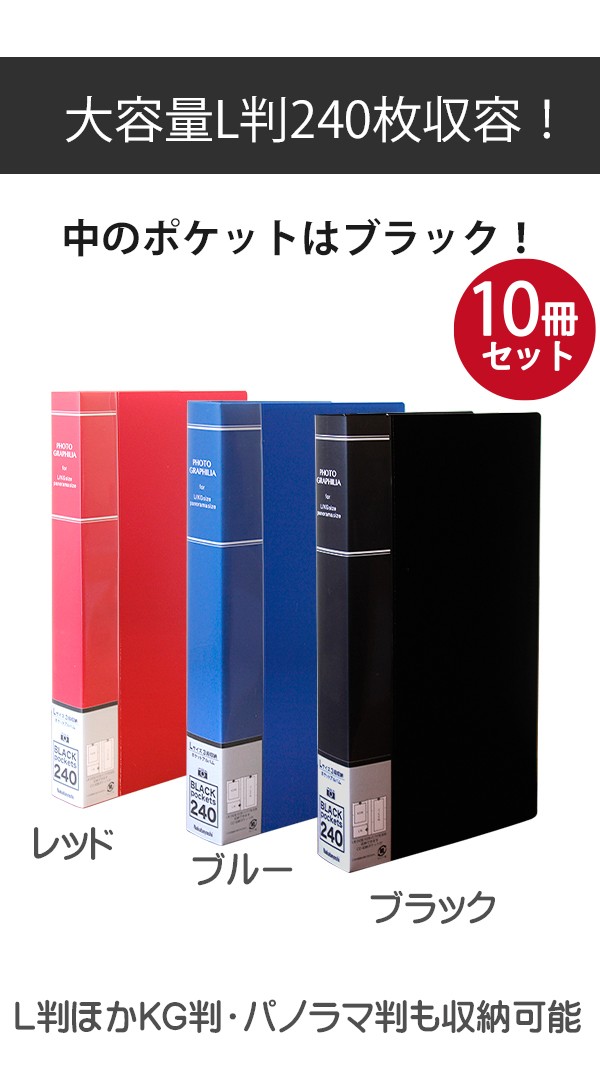 処分整理前 最終値下げ!!! ナカバヤシ フォトアルバム うすめ 2冊セット