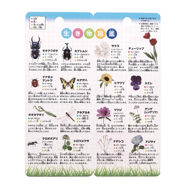 クツワ 学童 むしめがね レンズ径45mm 倍率3.5倍 ブルー MG001BL