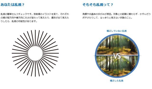 デイリーズアクアコンフォートプラス トーリック 商品説明2