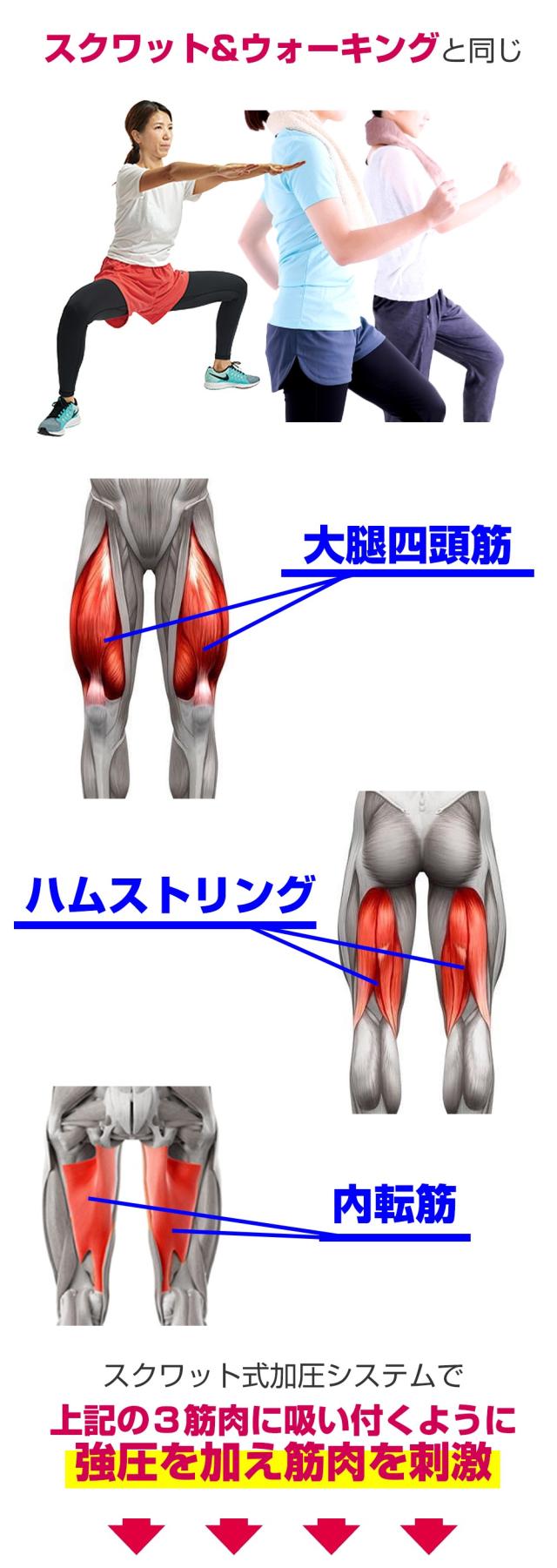 メール便OK♪新発売!!大人気Dietレギンス【スクワッターウォーク】2枚