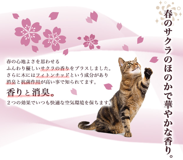 春のサクラのほのかで華やかな香り。