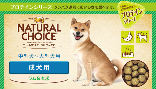 ニュートロ　ナチュラルチョイス　ラム＆ライス　中型犬〜大型犬用　成犬用
