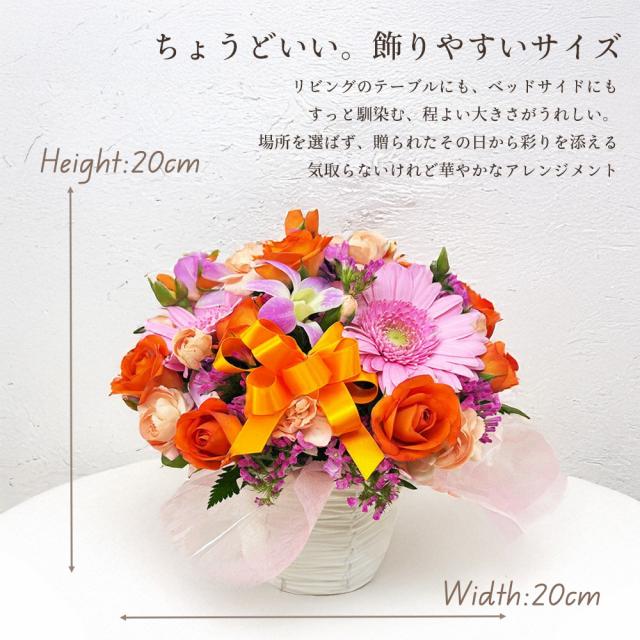 アレンジメント・メロン