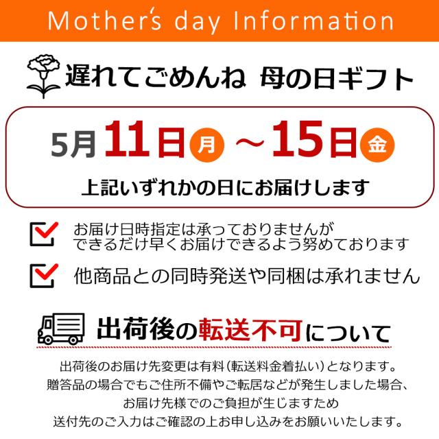 母の日インフォ1