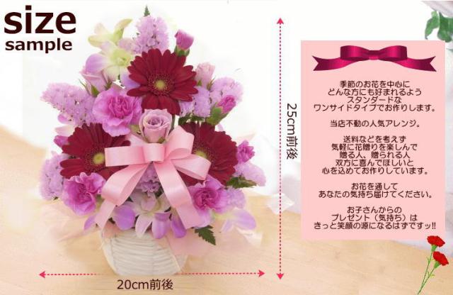 母の日 花 カーネーション