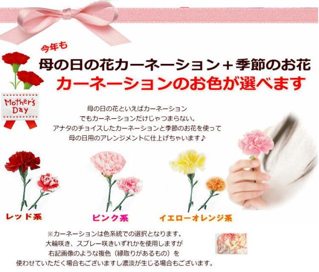 母の日 花 カーネーション