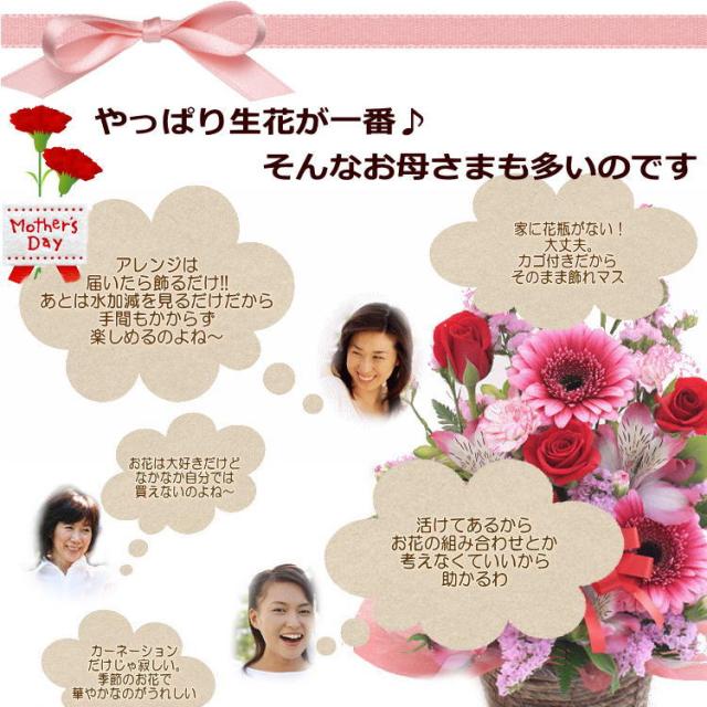 母の日 花 カーネーション