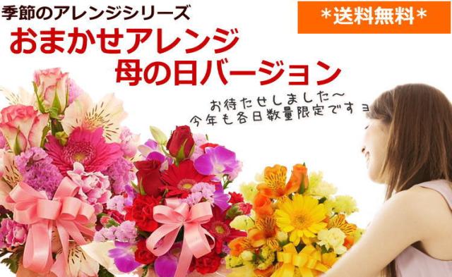 母の日 花 カーネーション