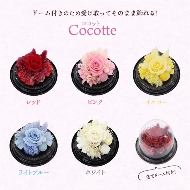 母の日プリザBOX